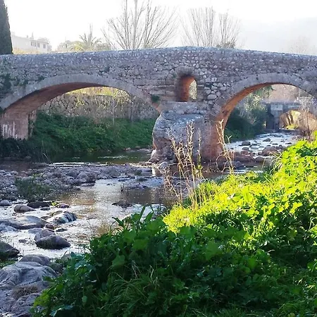 Cuarterades - Js Pollensa