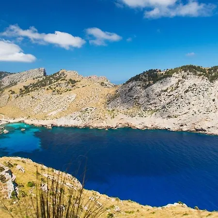 Cuarterades - Js Willa