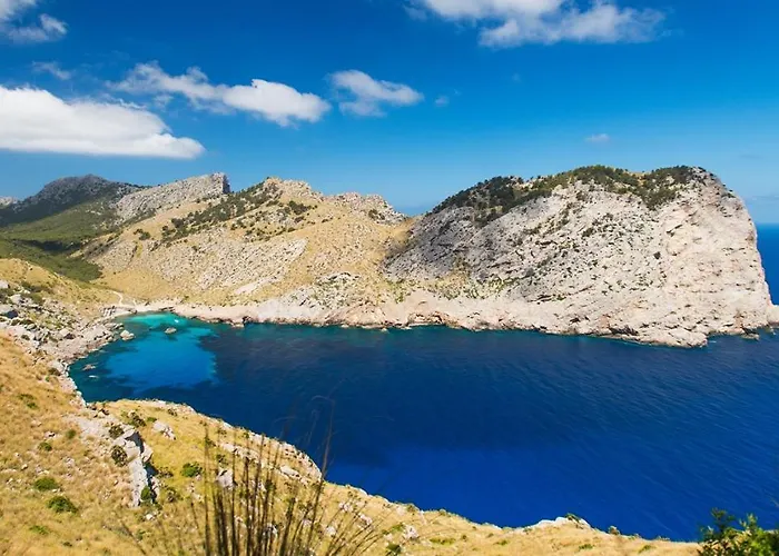 Cuarterades - Js Villa